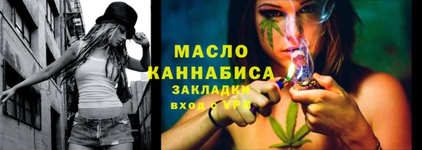 индика Нея
