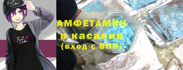 индика Нея